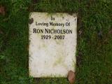 image number Nicholson Ron 595
